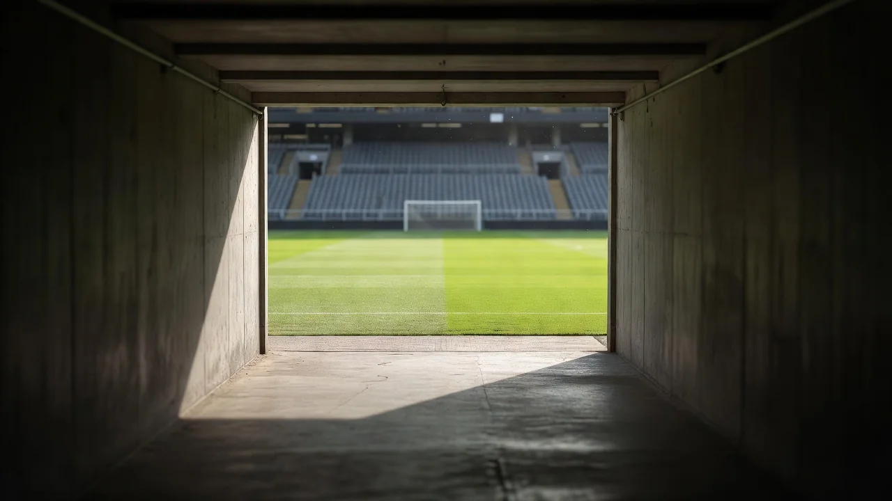 Como viver um jogo no estádio: guia completo do adepto